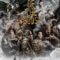 Creation of the Gods I  Kingdom of Storms กำเนิดเทพเจ้า 1  อาณาจักรแห่งพายุ (2023) บรรยายไทย