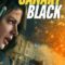 Canary Black รหัสลับดับโลก (2024)