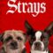 Strays ชีวิตหมาต้องไม่หมา (2023) บรรยายไทย