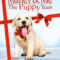 Marley & Me The Puppy Years