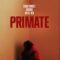 Primate