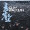 Cliff Walkers